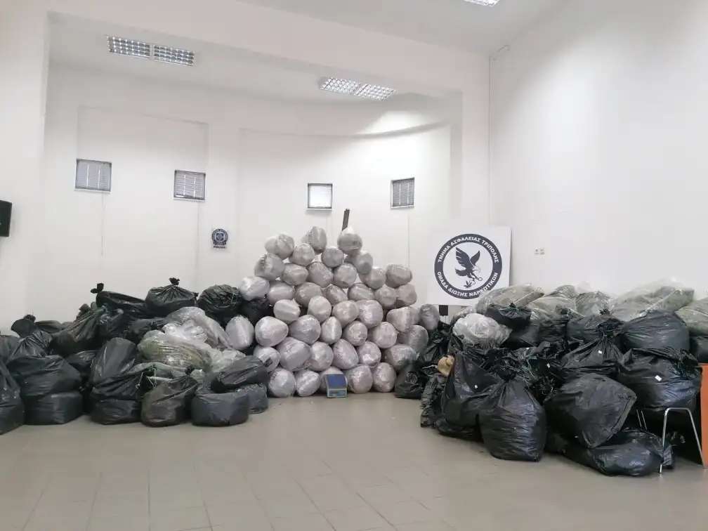 Αλβανός καλλιεργούσε φυτεία κάνναβης 35 στρεμμάτων στην Τρίπολη (Βίντεο)