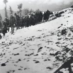 w28-809222801.jpg