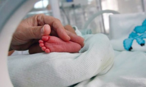 1558593211_Foshnje-600x360.jpg