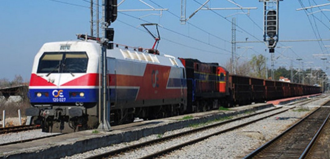 trainose.jpg