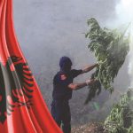 narkotika-alvania-dropolinews.jpg