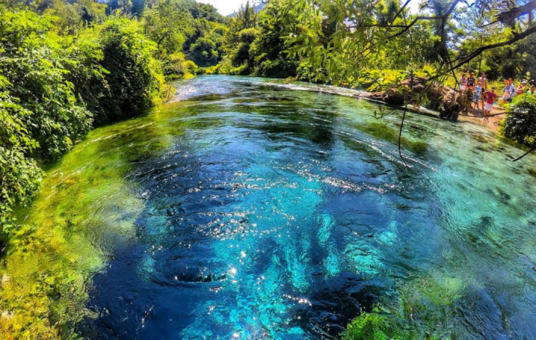 Syri-i-kalter-Occhio-Blu.jpg