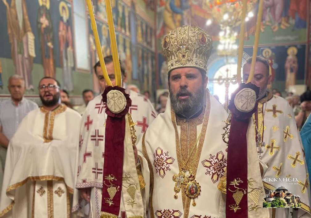 korytsa-alv-03.jpg