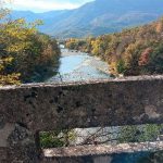 xwwwkonitsa56.jpg