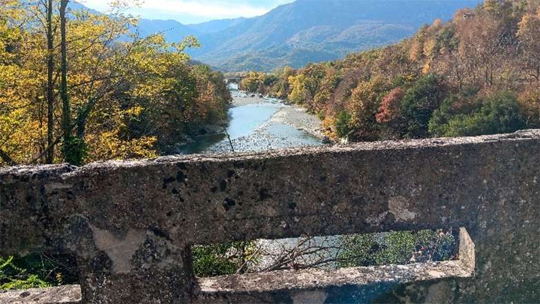 xwwwkonitsa56.jpg