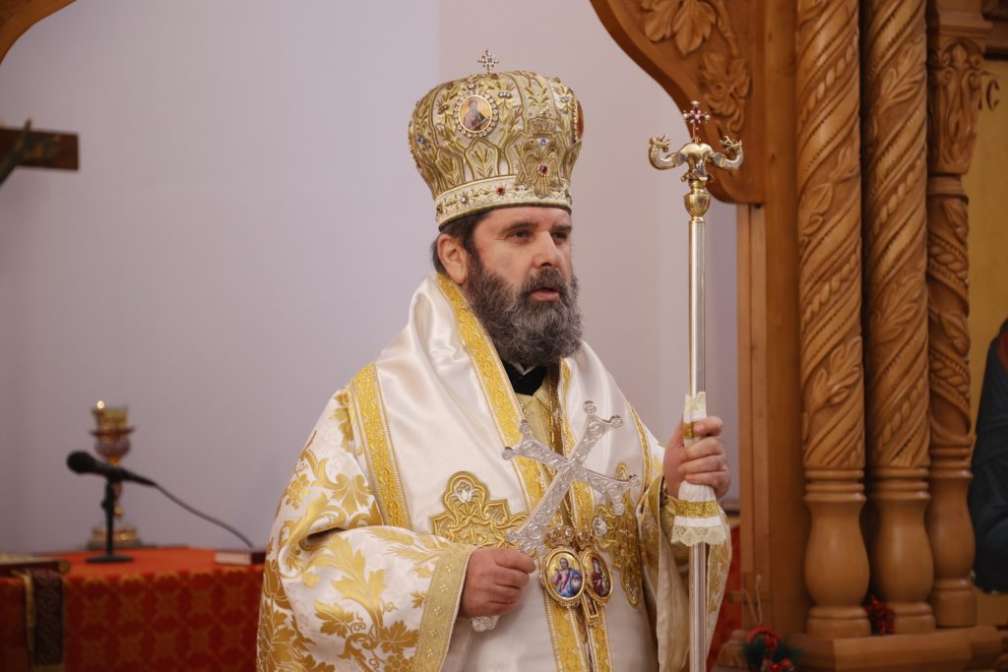 alv-1024x683.jpg